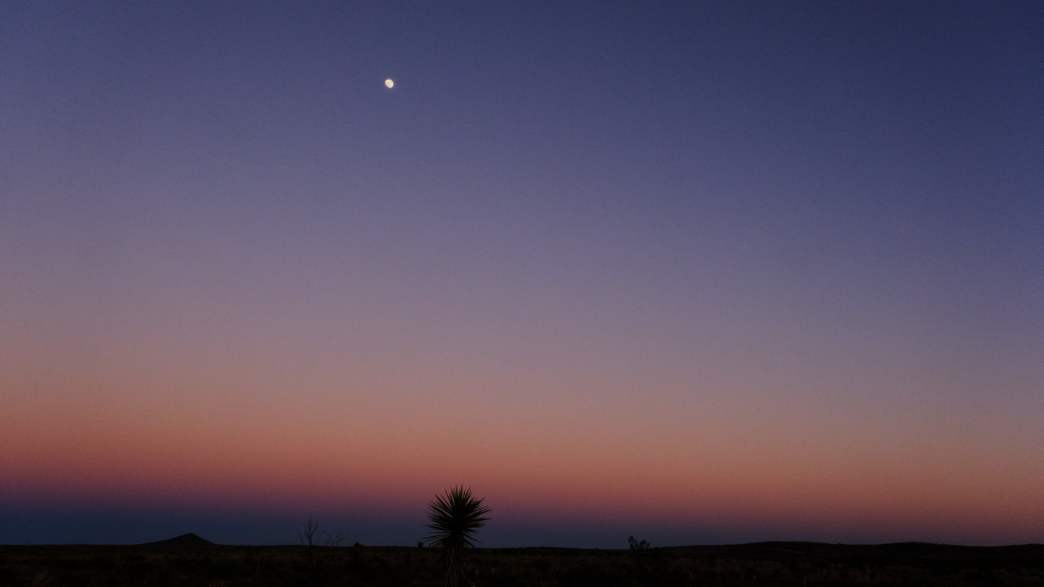 Now I sit in the dark,