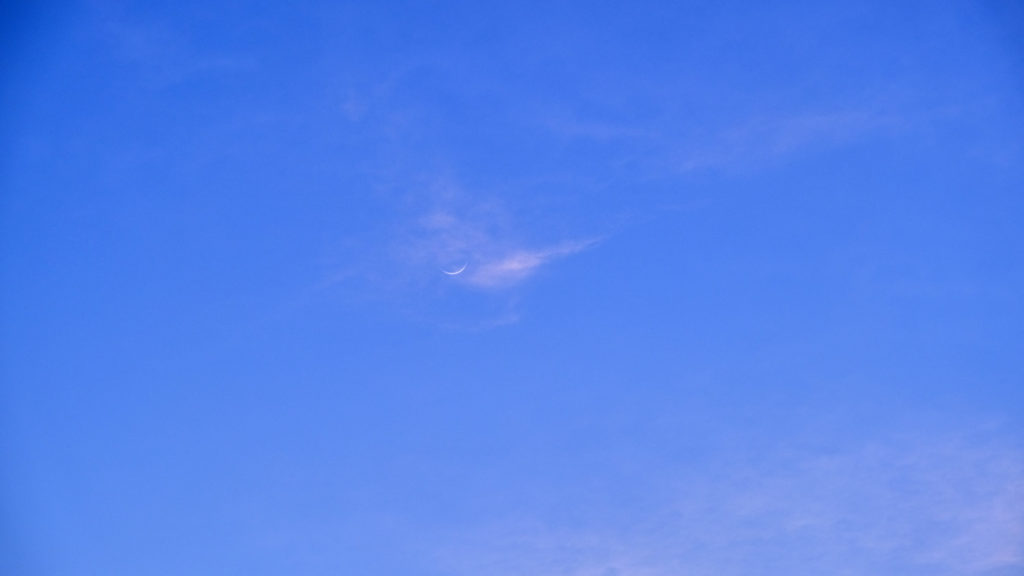 I am fearfully and wonderfully