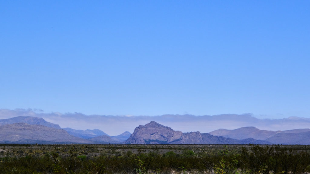 Says every day I want to fly my kite.