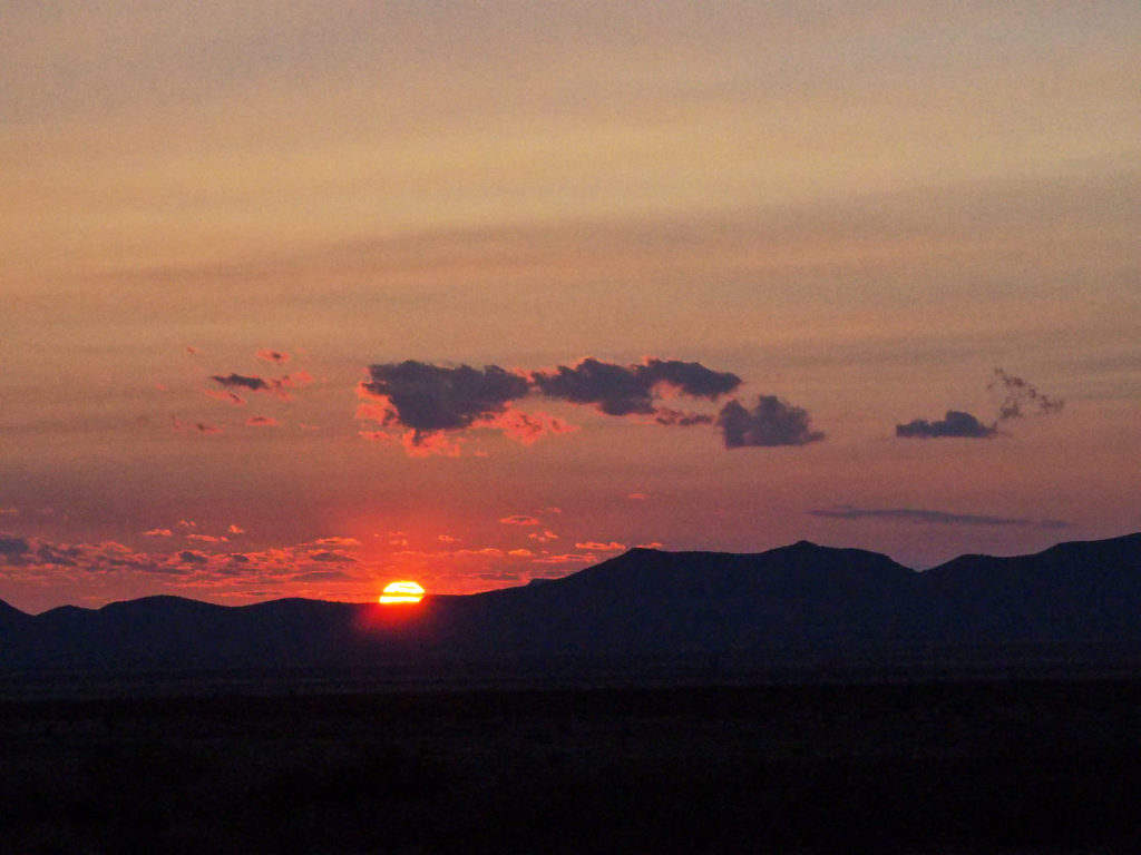 Say only, thank you.