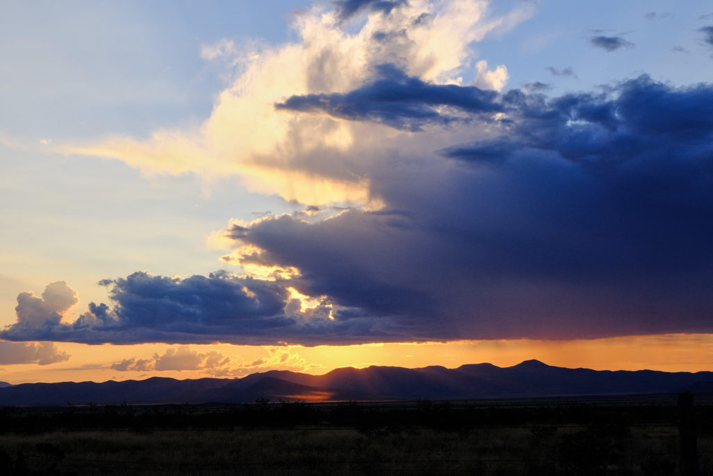 I heard them too, this morning, which must mean,