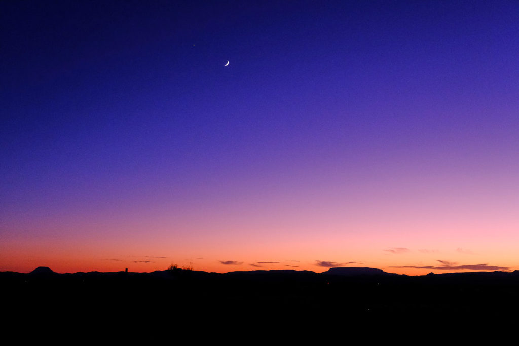 Again hoofbeats. It is my own warm