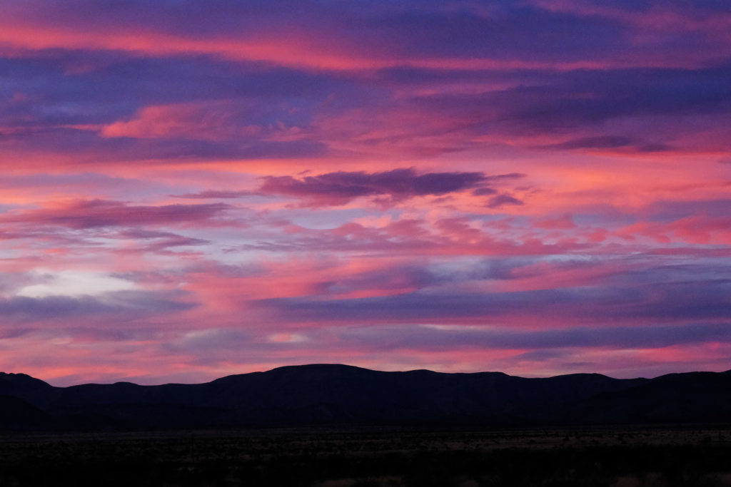 to hold tender this land —bell hooks