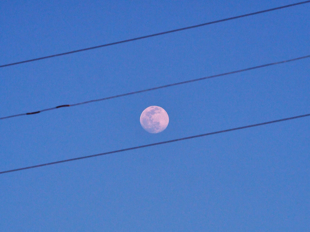 –take this, hurry–