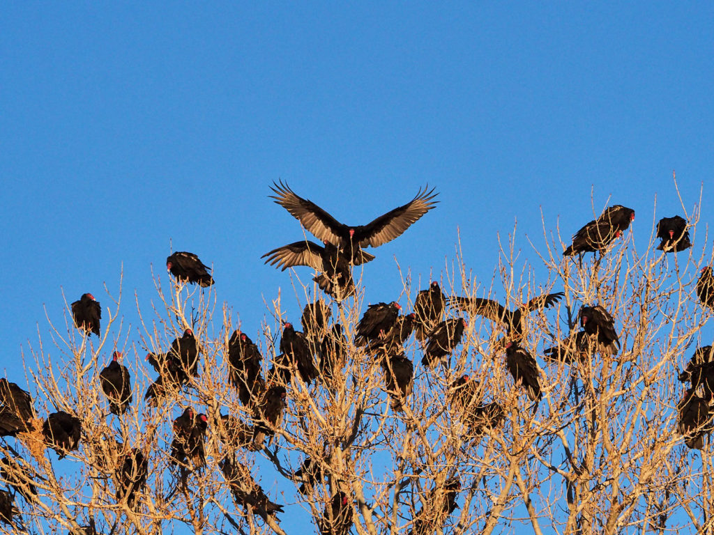 But we have lived enough to know