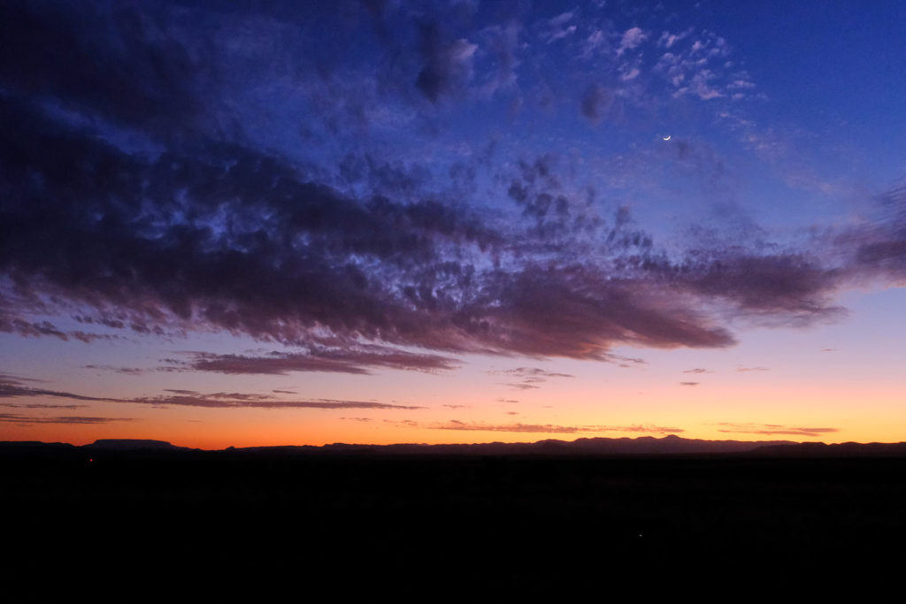 at the pawnbroker’s. —Tomas Tranströmer, translated by Patty Crane
