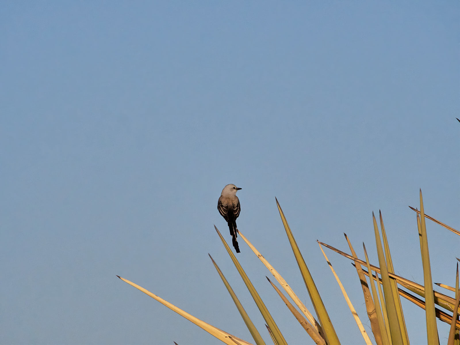 And did you feel it, in your heart, how it pertained to everything?