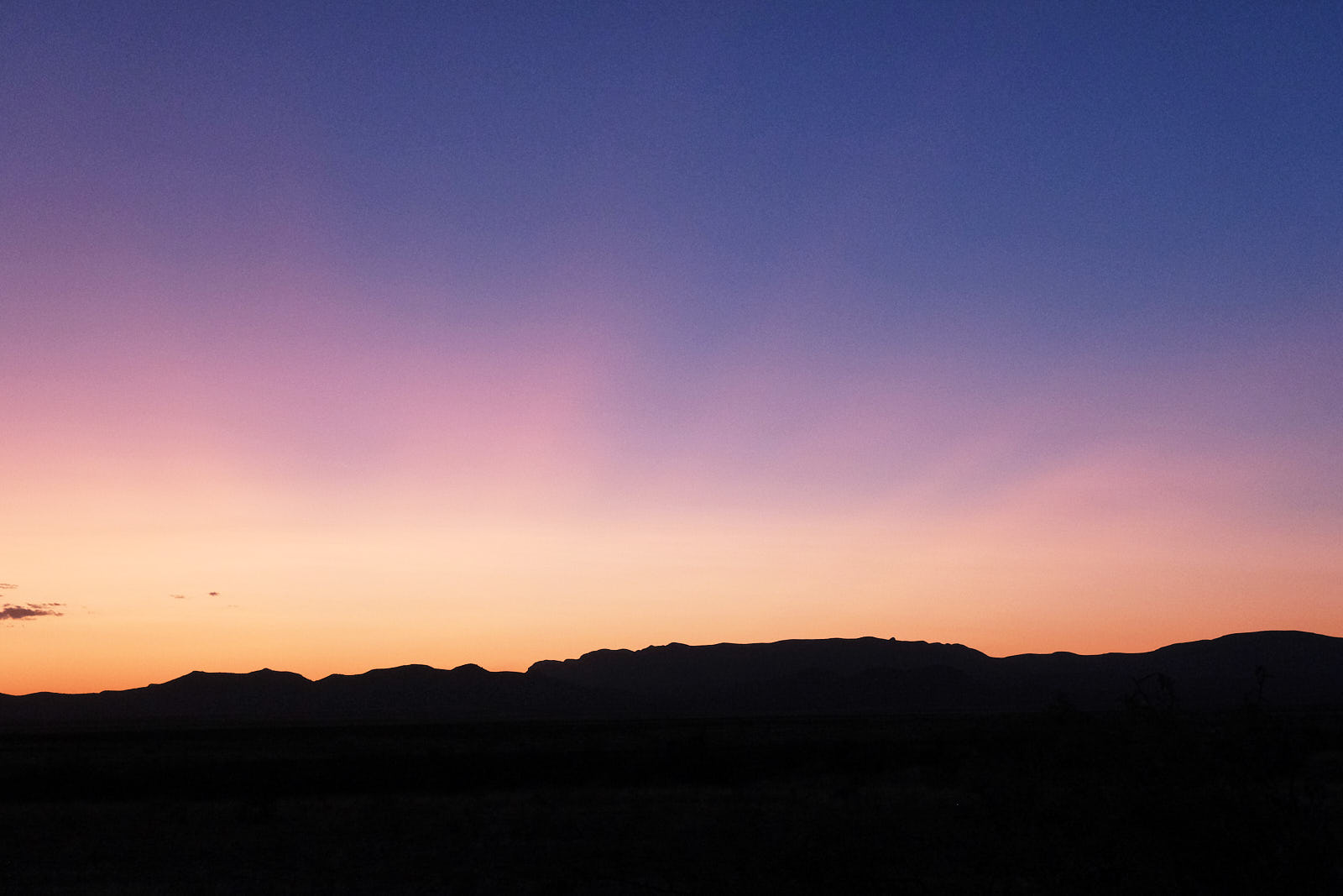 Just before it blows into bloom