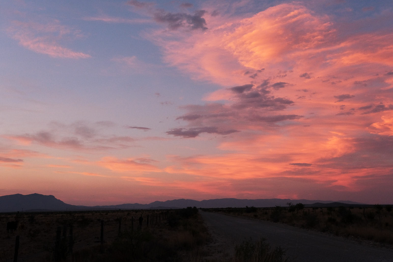 We have&ensp;only this