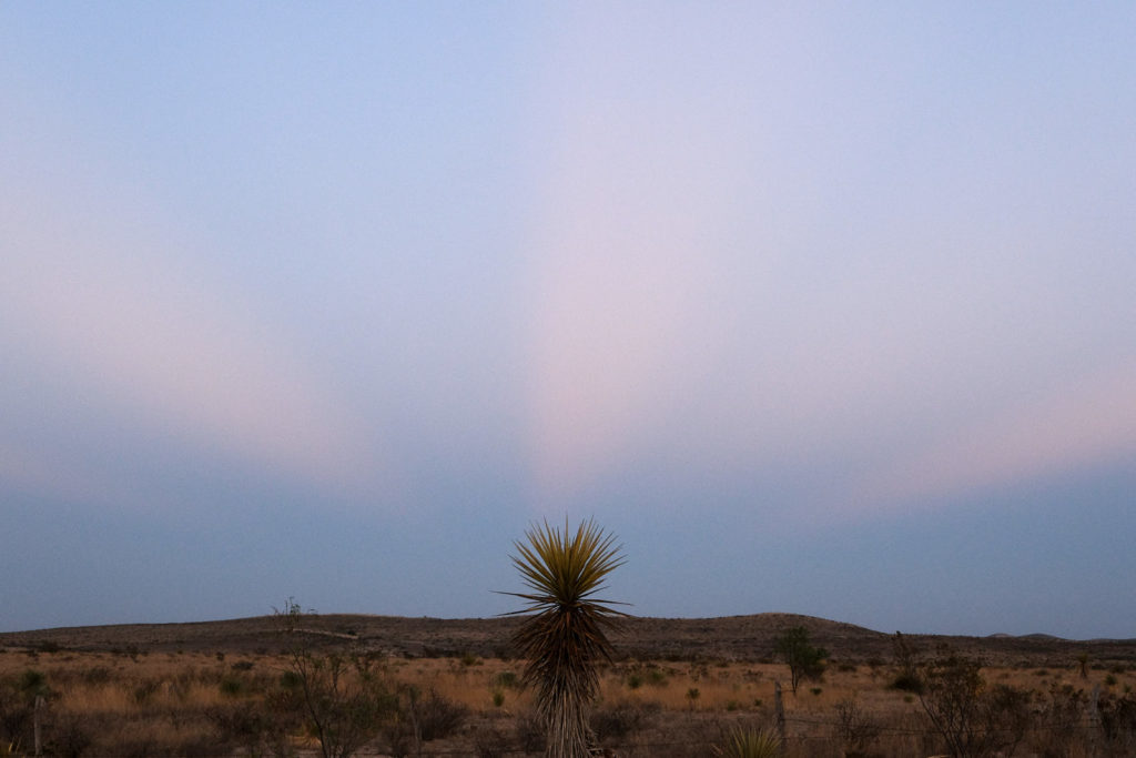 Fuck that. Fuck Atreus, fuck Agamemnon,