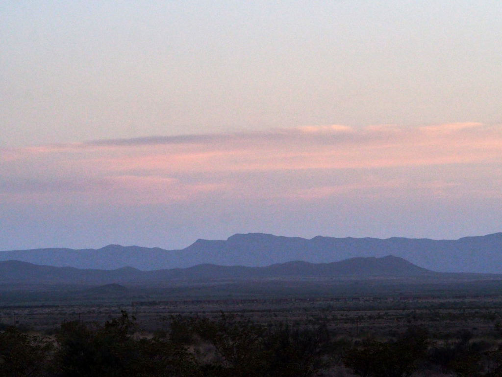 Contracts, the brain