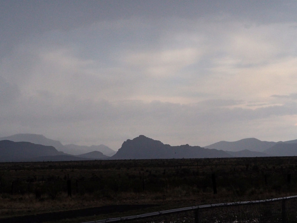 from Wittgenstein to Fellini like this: two pictures of a rose in the dark,