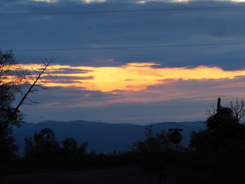 I promise to circle to ascend —Nicole Sealey