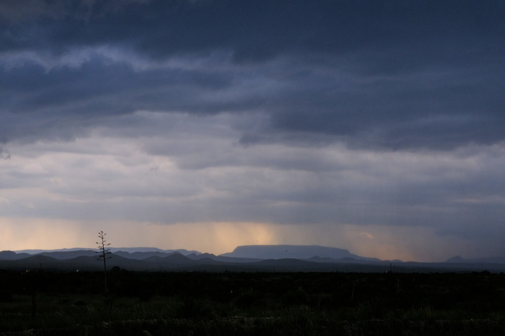 I leave the heart murmuring