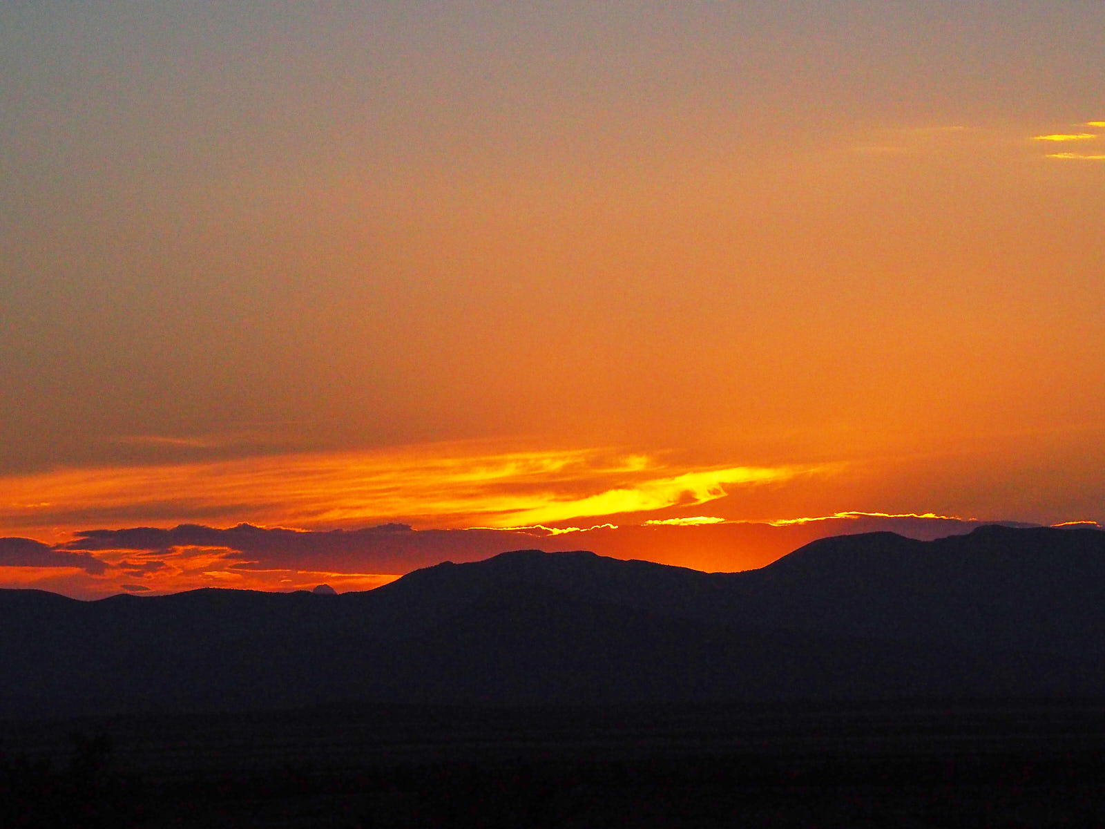 You are a gleam in my eye, and I can’t