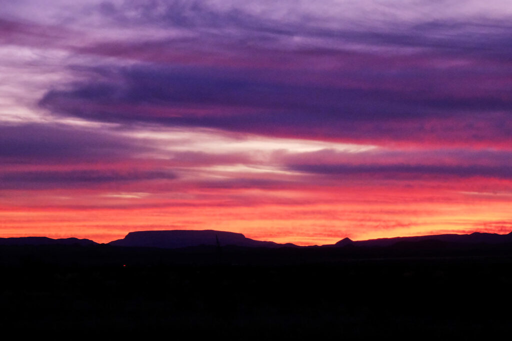 I mean living must be your whole occupation. —Nazim Hikmet, translated by Randy Blasing and Mutlu Konuk