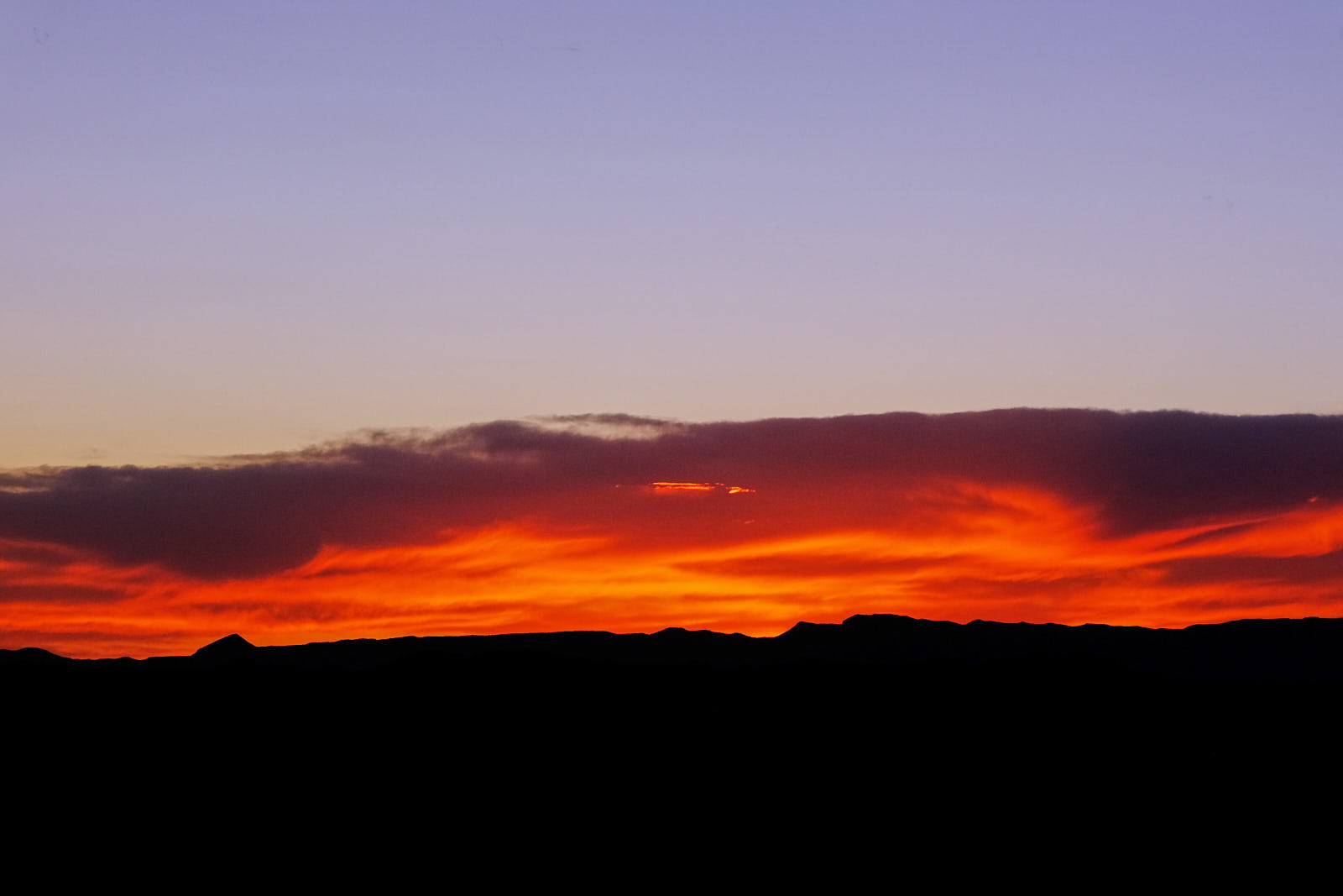 I have gone to Swan City where the ghost of Maldoror may still roam