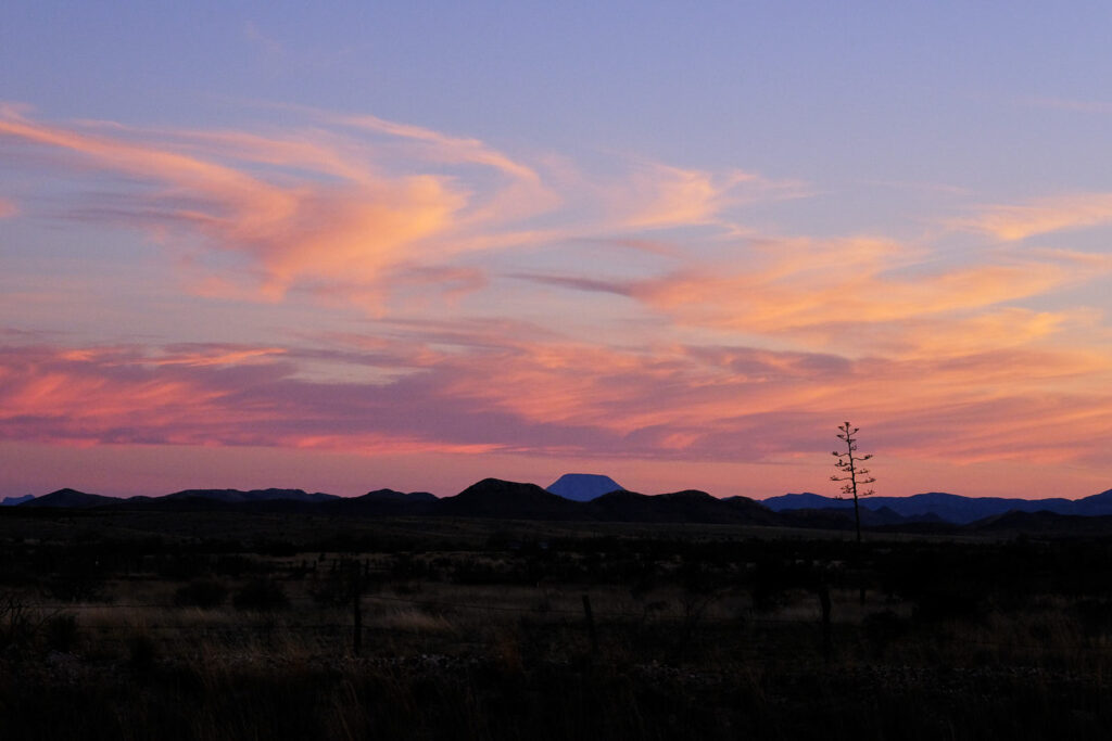 to resemble them, and remember nothing,