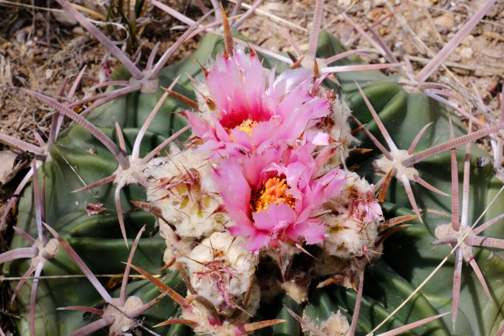 of your dinner, the book you were trying to finish