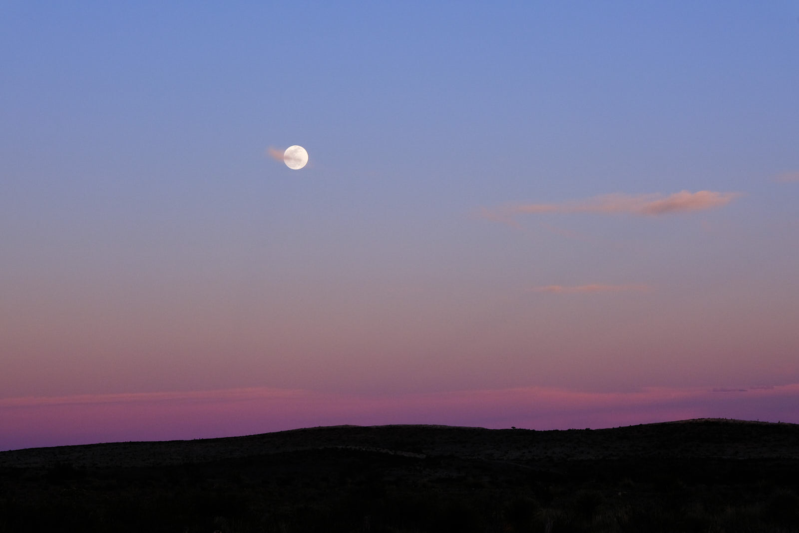 To resurrect some sunset favored by doves,