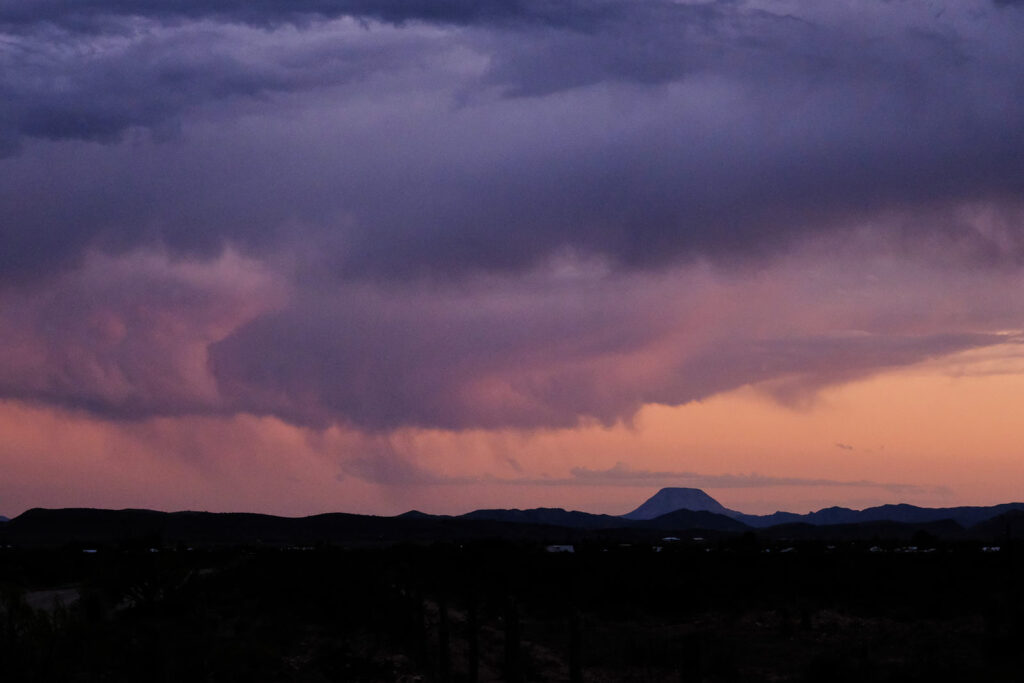 With flowers that spring beneath thy perfect feet. —Sara Teasdale