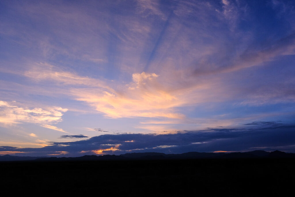 and seagulls that drift soft as dandelions —L. A. Johnson