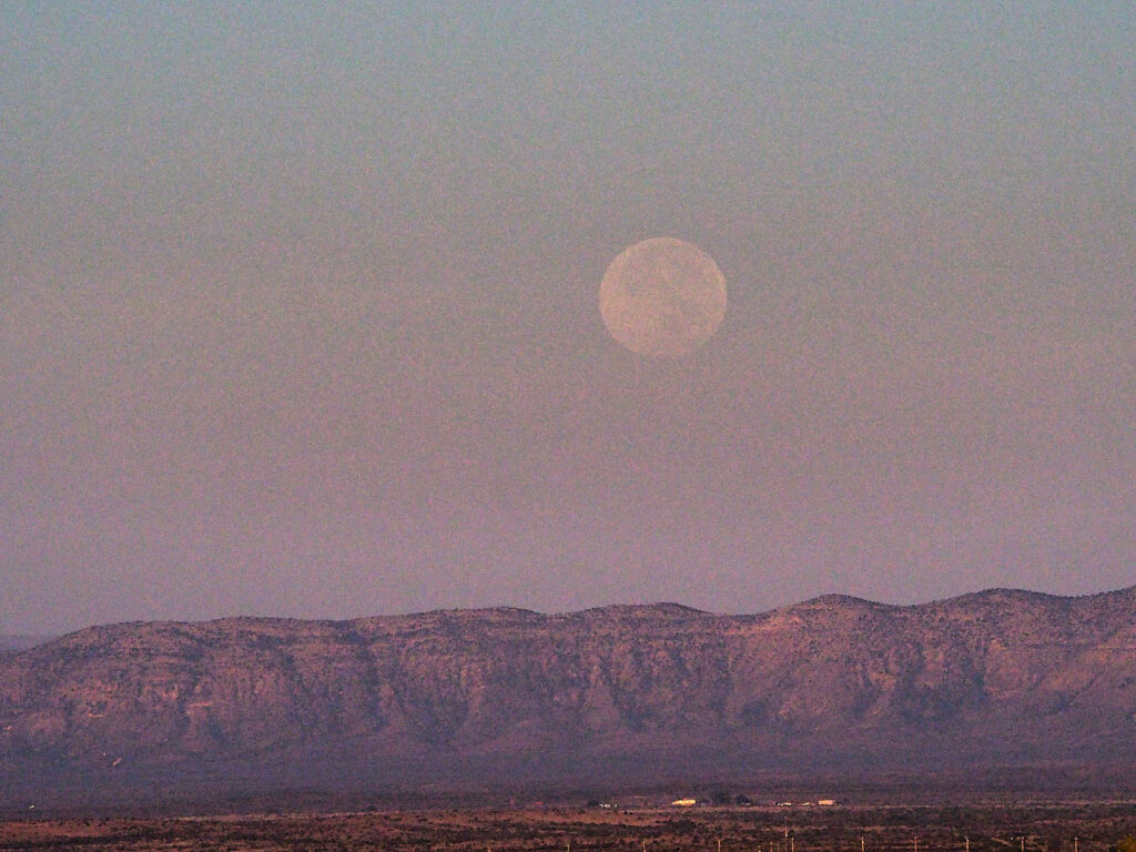 helped the honey gatherers ...