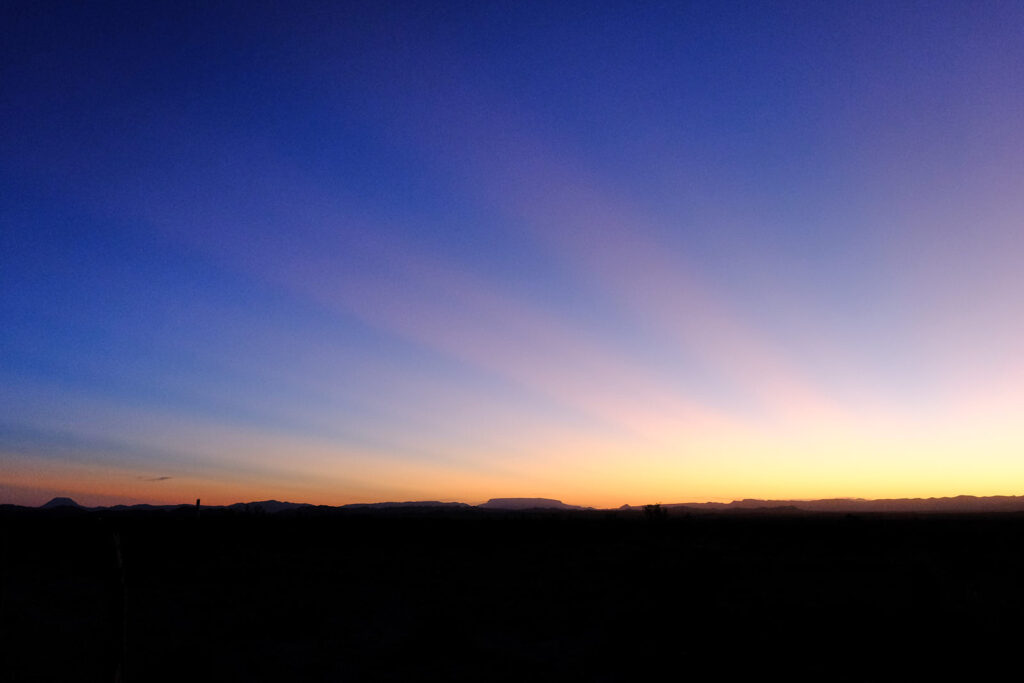 has money in it. —Fanny Howe