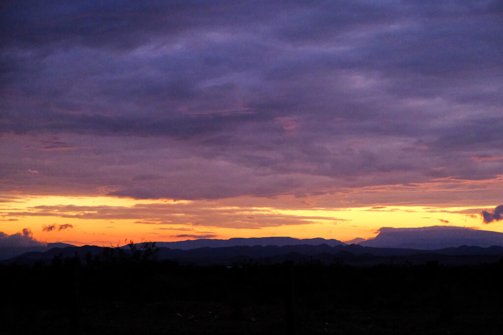 /how I‘m going to help you get free,/ —Saretta Morgan