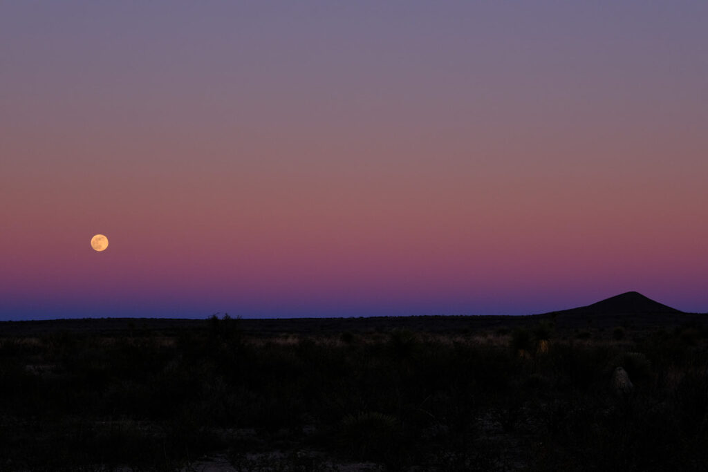 tenderly, will tear us open, —Andrea Cohen