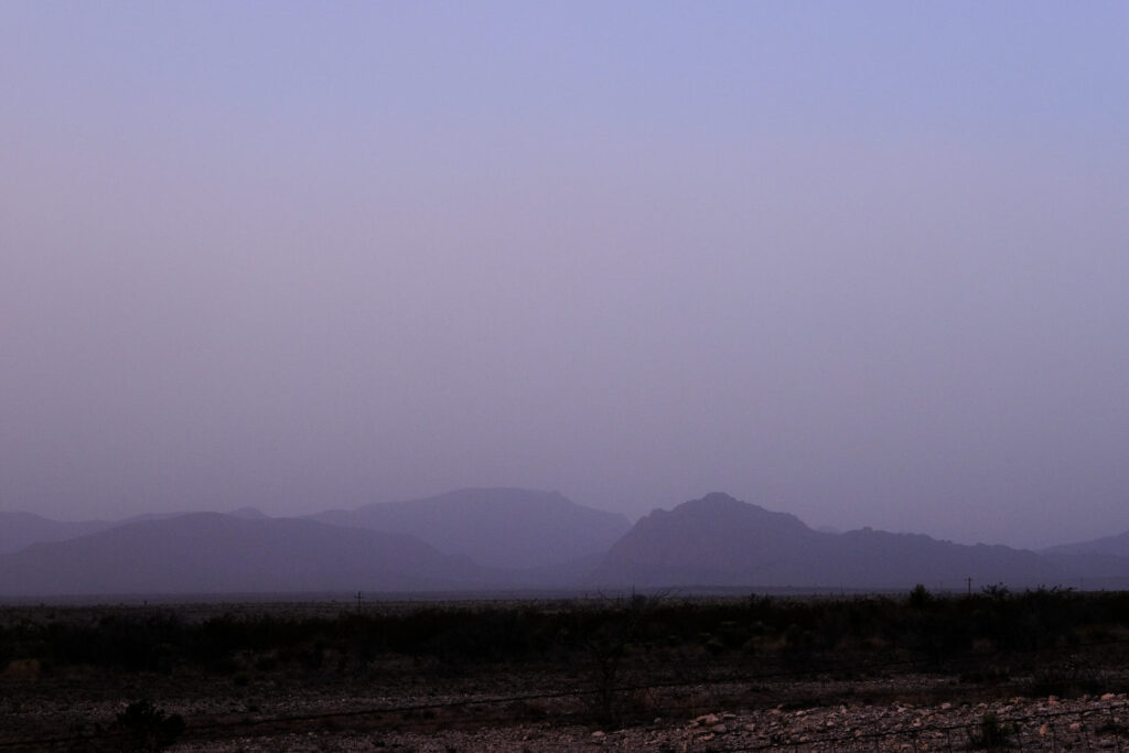 in january —Diane di Prima