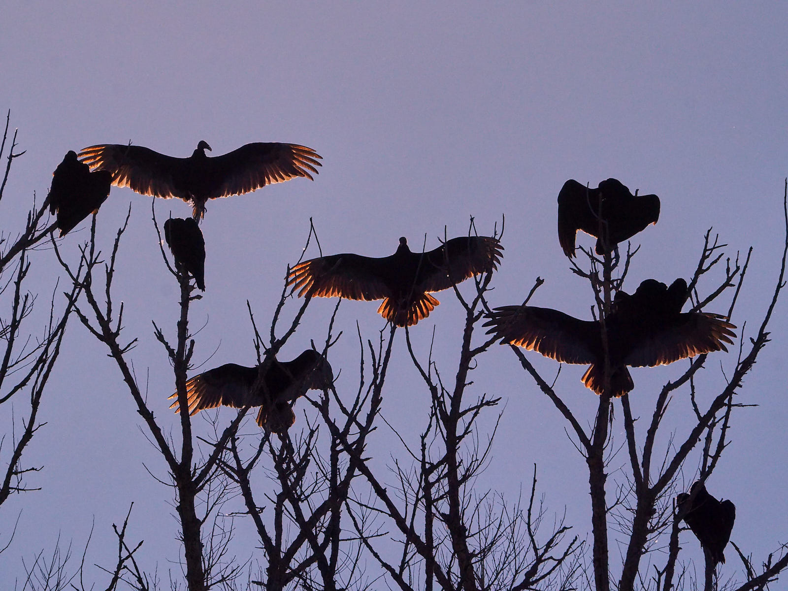 I must become my hero and you must