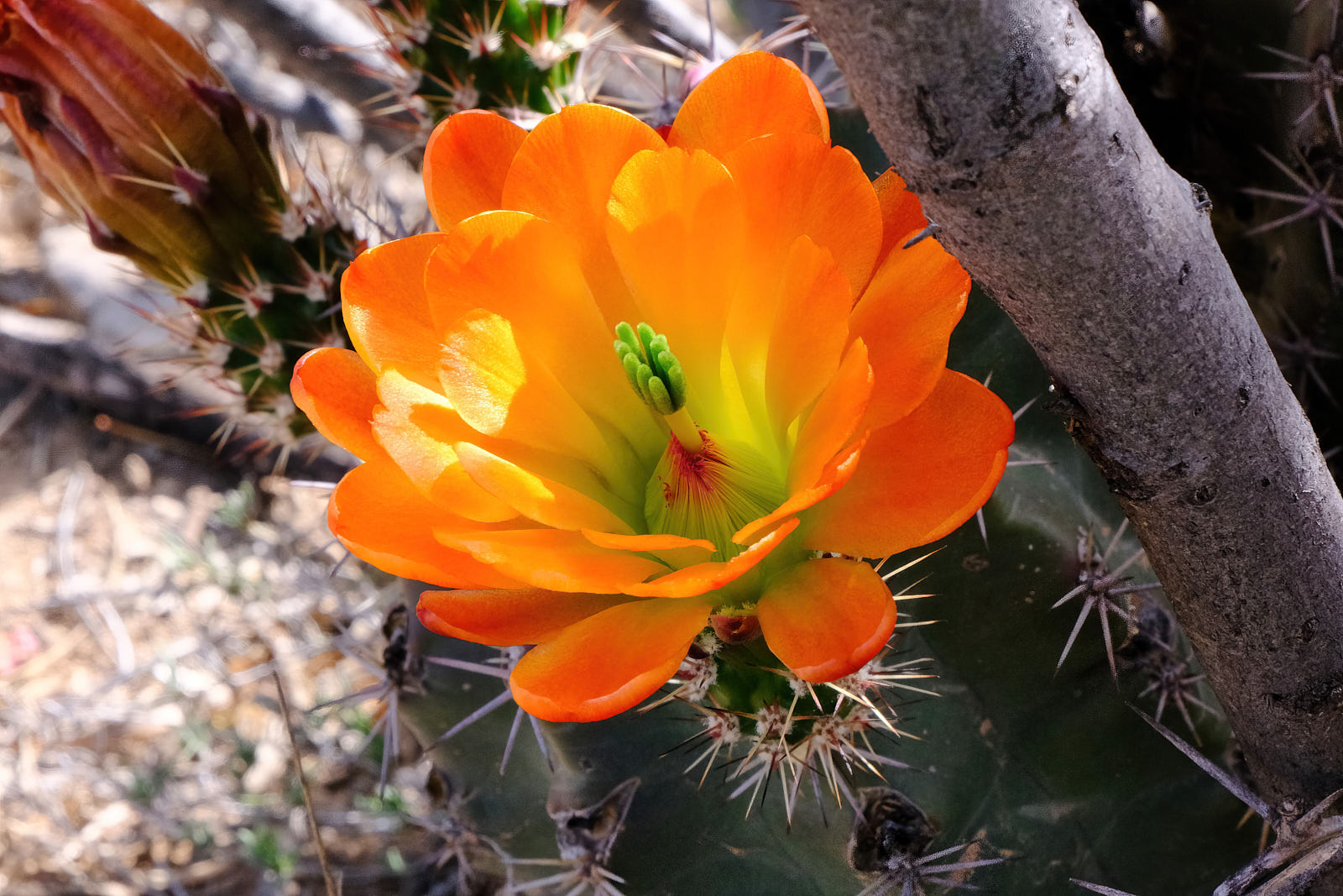 Rilke wrote, “That I gently wipe away the look of suffered injustice sometimes hinders the pure motion of spirits a little.”