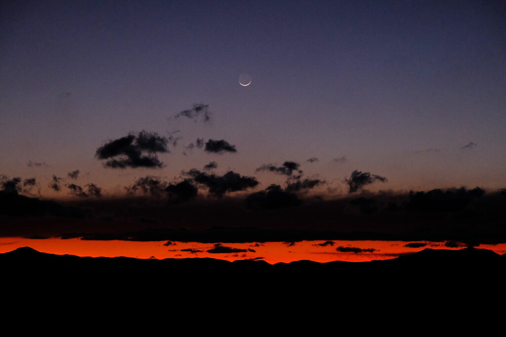 This polar world is flat —Peter Gizzi