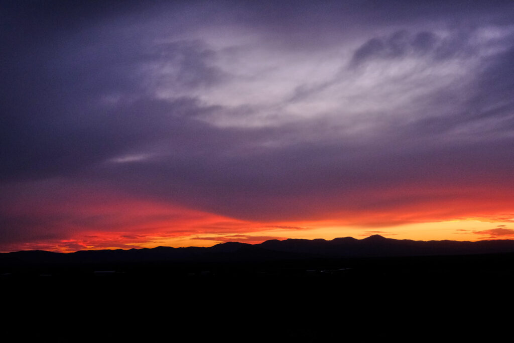 I have been eating poetry. —Mark Strand