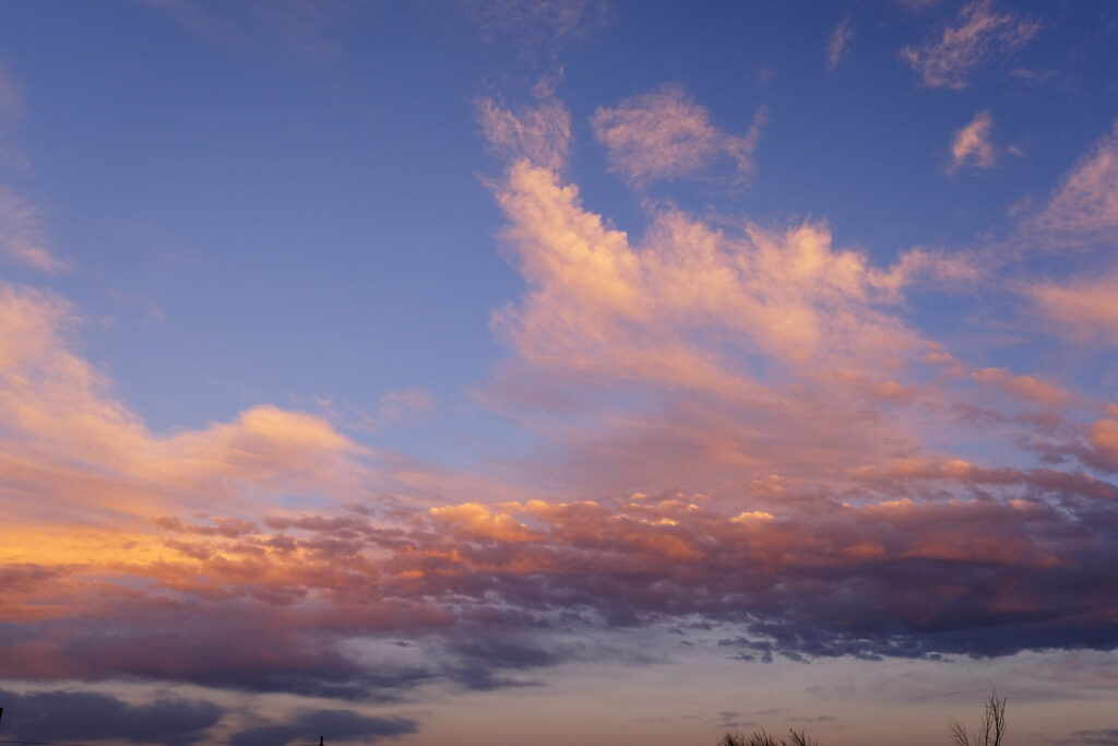 gratuitous, as if not elicited. —William Bronk