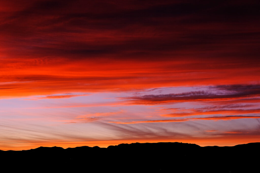 I cannot save this world.