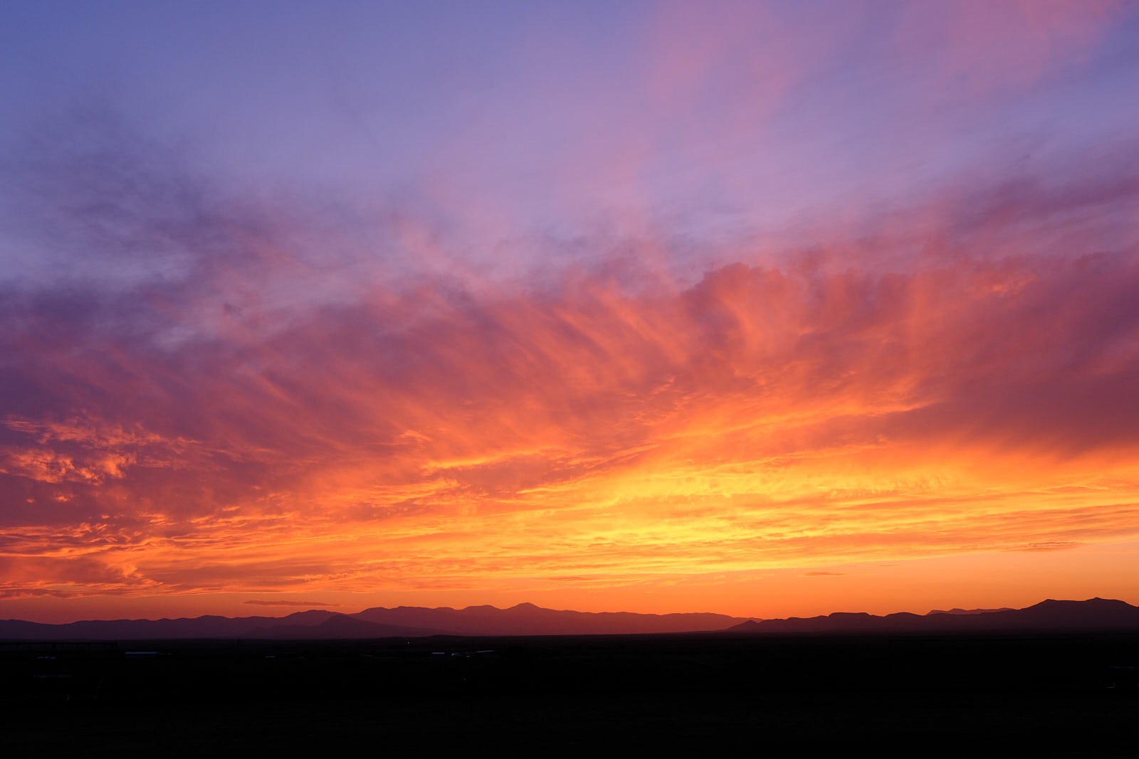 The brightness calls