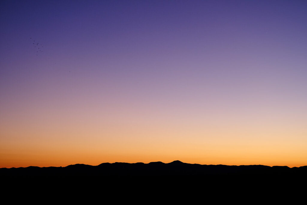 Remind me again. —William Stafford