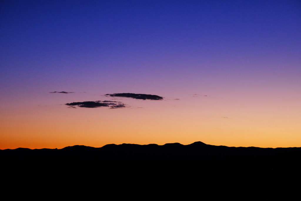 Many words, please, —Mary Oliver