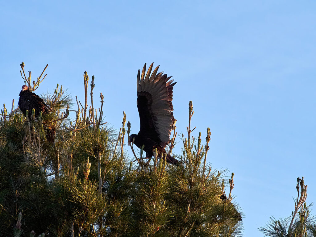 something horrible with pistons awry,