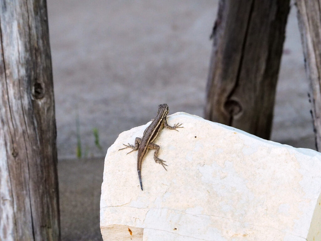 it beats beyond defeat 