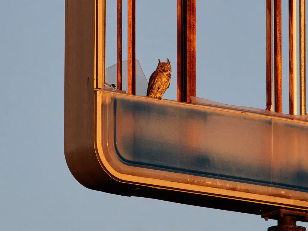 let me in —Jean Valentine