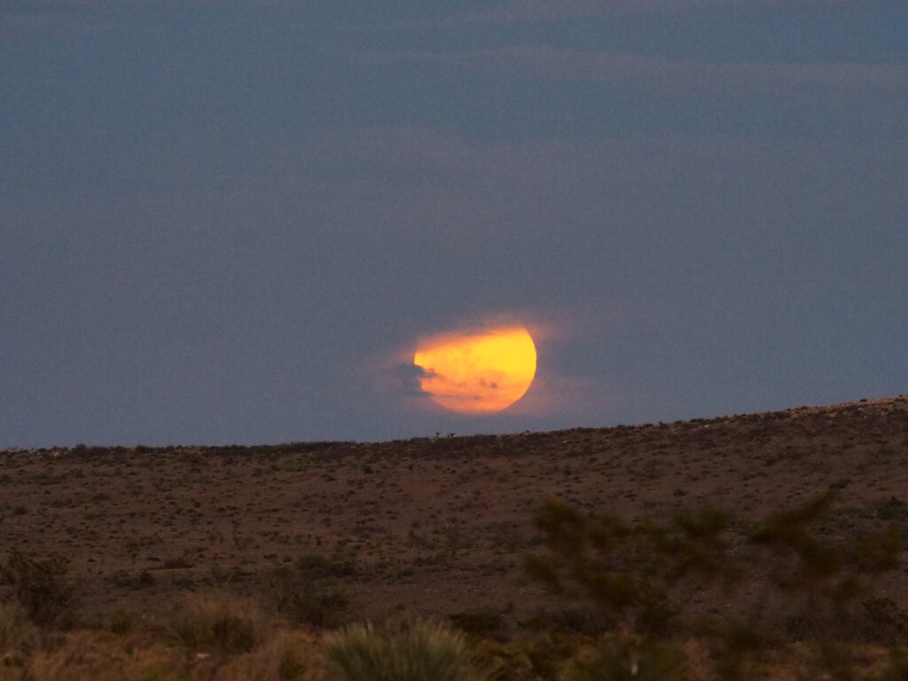 But something in myself or maybe