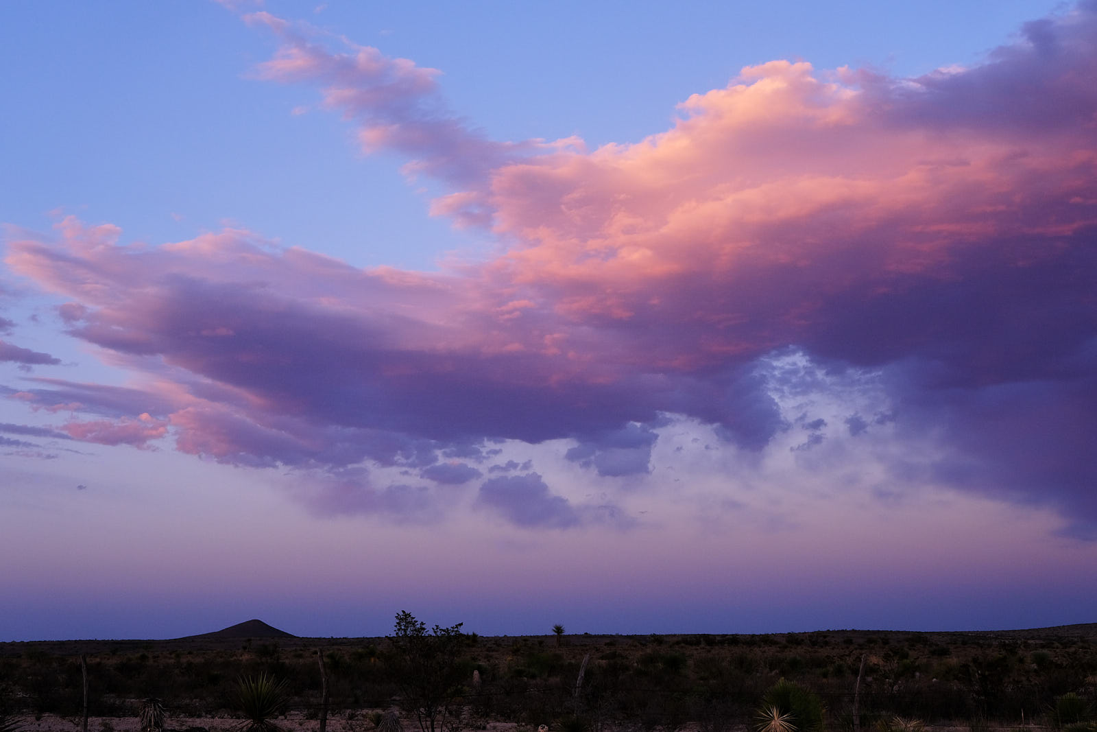 When I had / No supper my eyes dined.