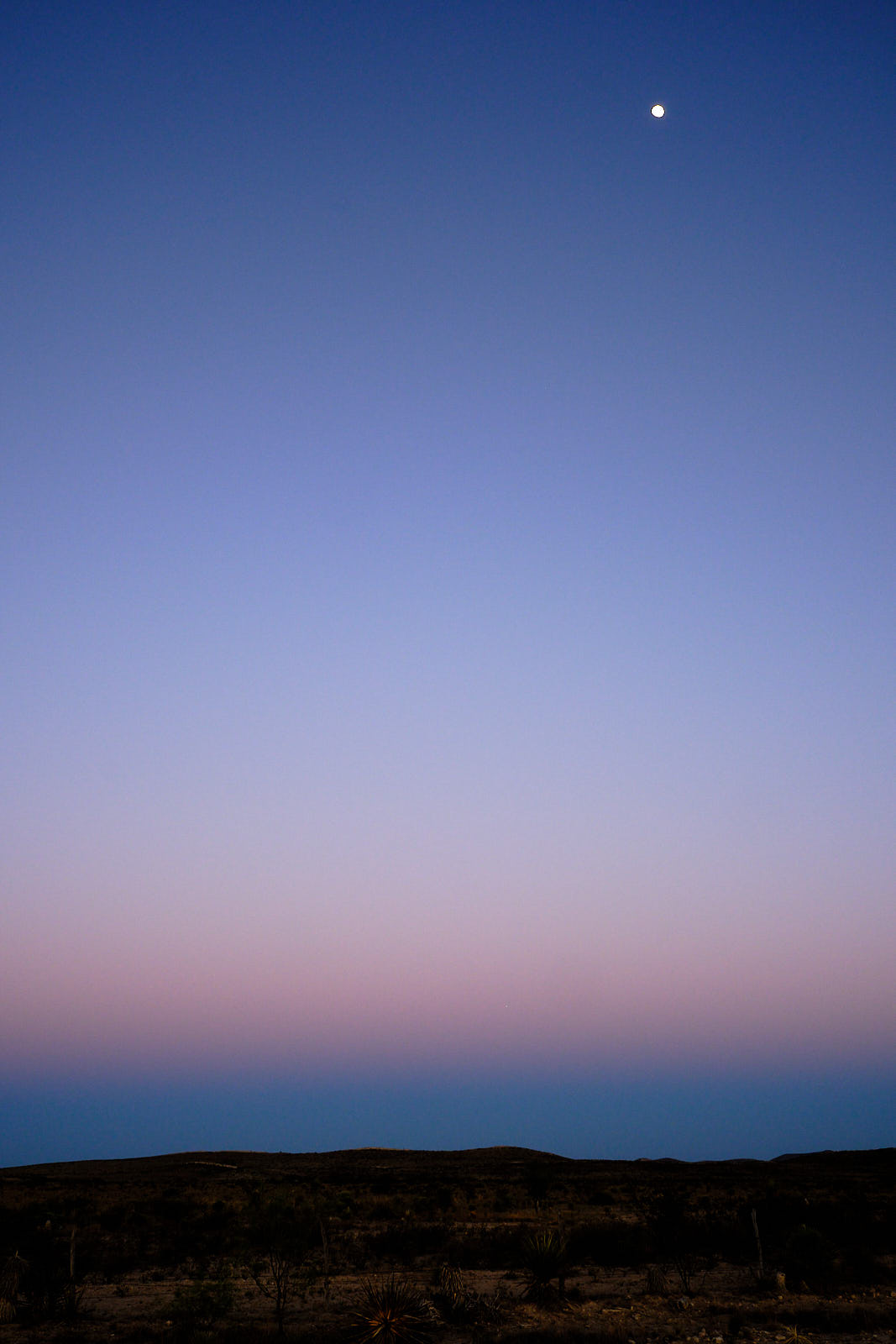 don’t look for reasons to be happy there are none