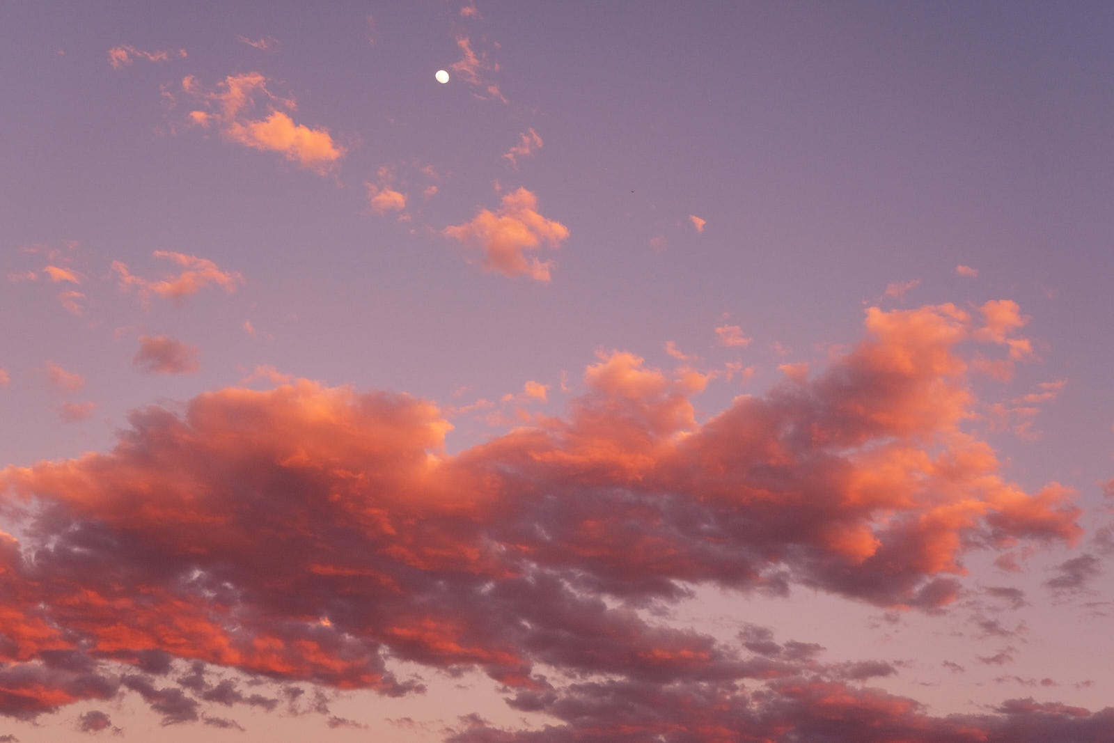 Make this night loveable,