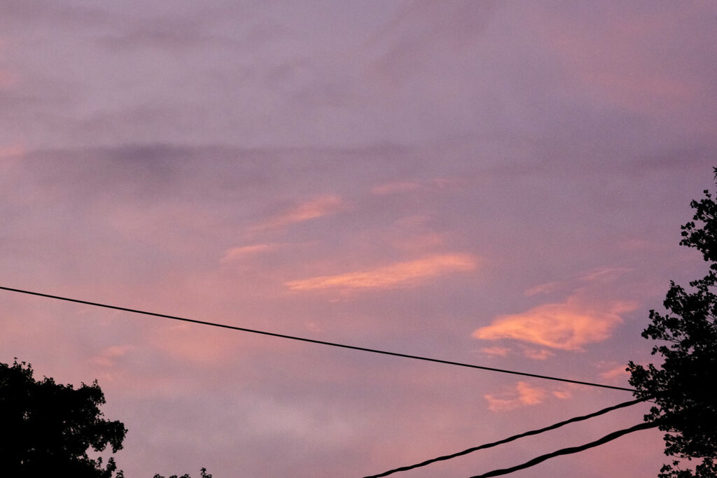 I miss them, but it wasn’t a disaster. —Elizabeth Bishop