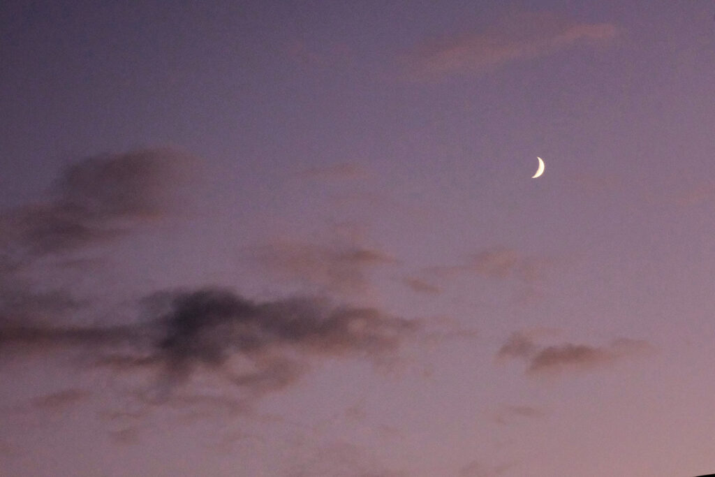 a cheeseburger every day for a year. I never want to do that again. —James Tate