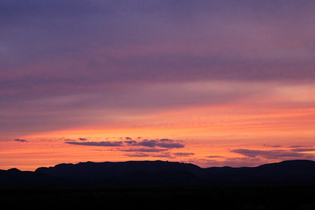 such as one I had never seen. —James Tate